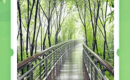 不可辜負(fù)的美，與春天有個約會