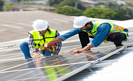 速看，這所2W人高校如何利用暑期，快速搭建綠色校園